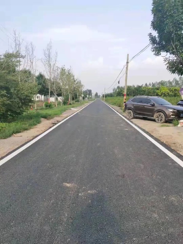 雄縣陳家柳南排干渠（張崗境內）道路外延整修項目